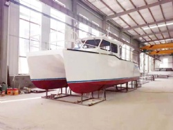 Dolphin Twin aluminum boat